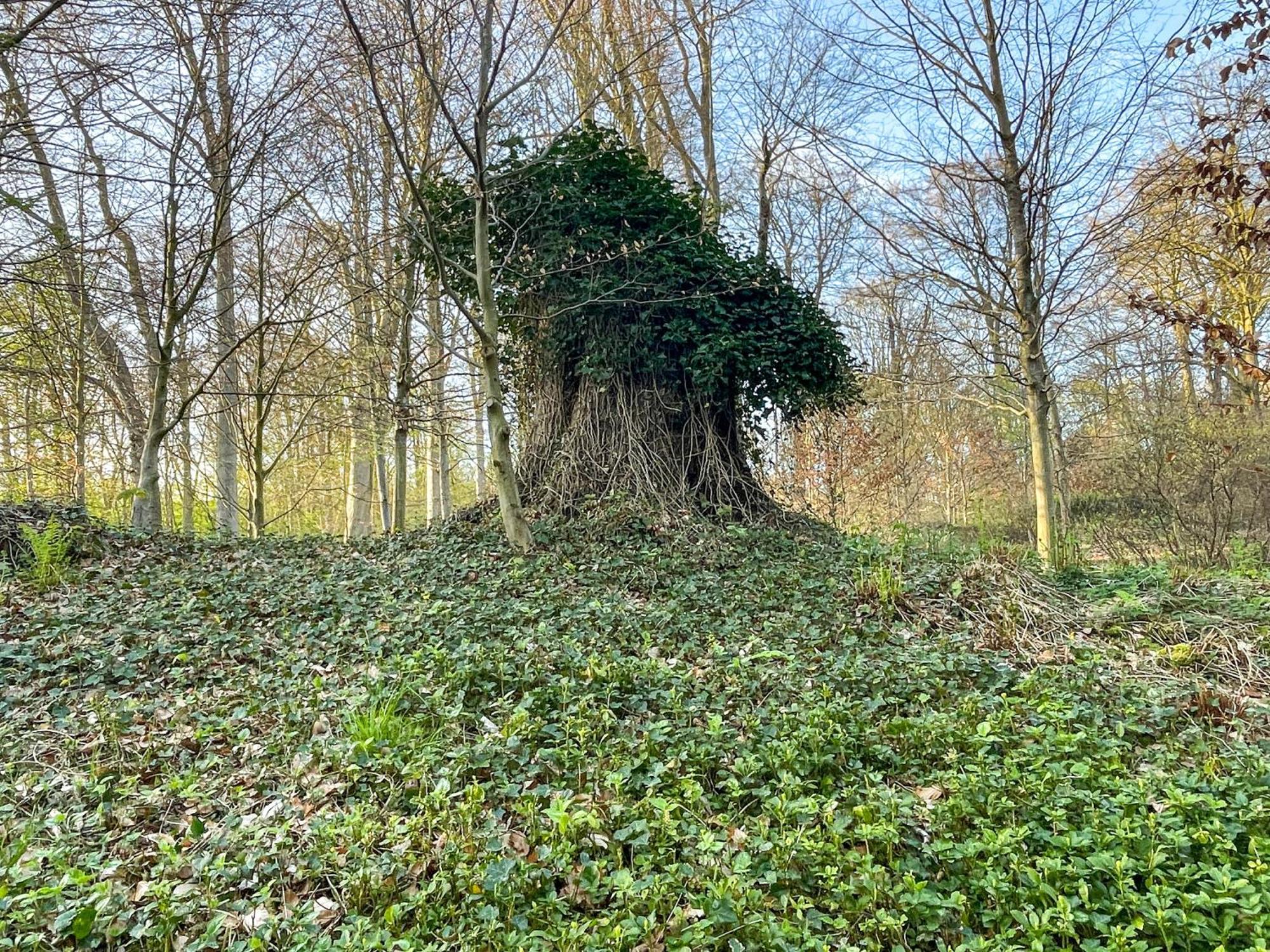 Landhaus Beim Knoops Park Bremen Luaran gambar